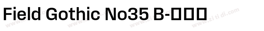 Field Gothic No35 B字体转换
